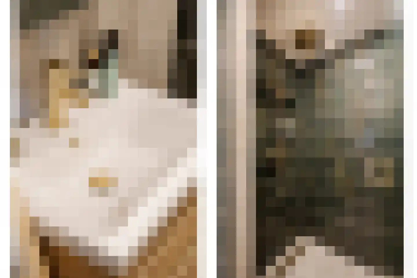 Jisperveldstraat 462 Amsterdam thumbnail 25