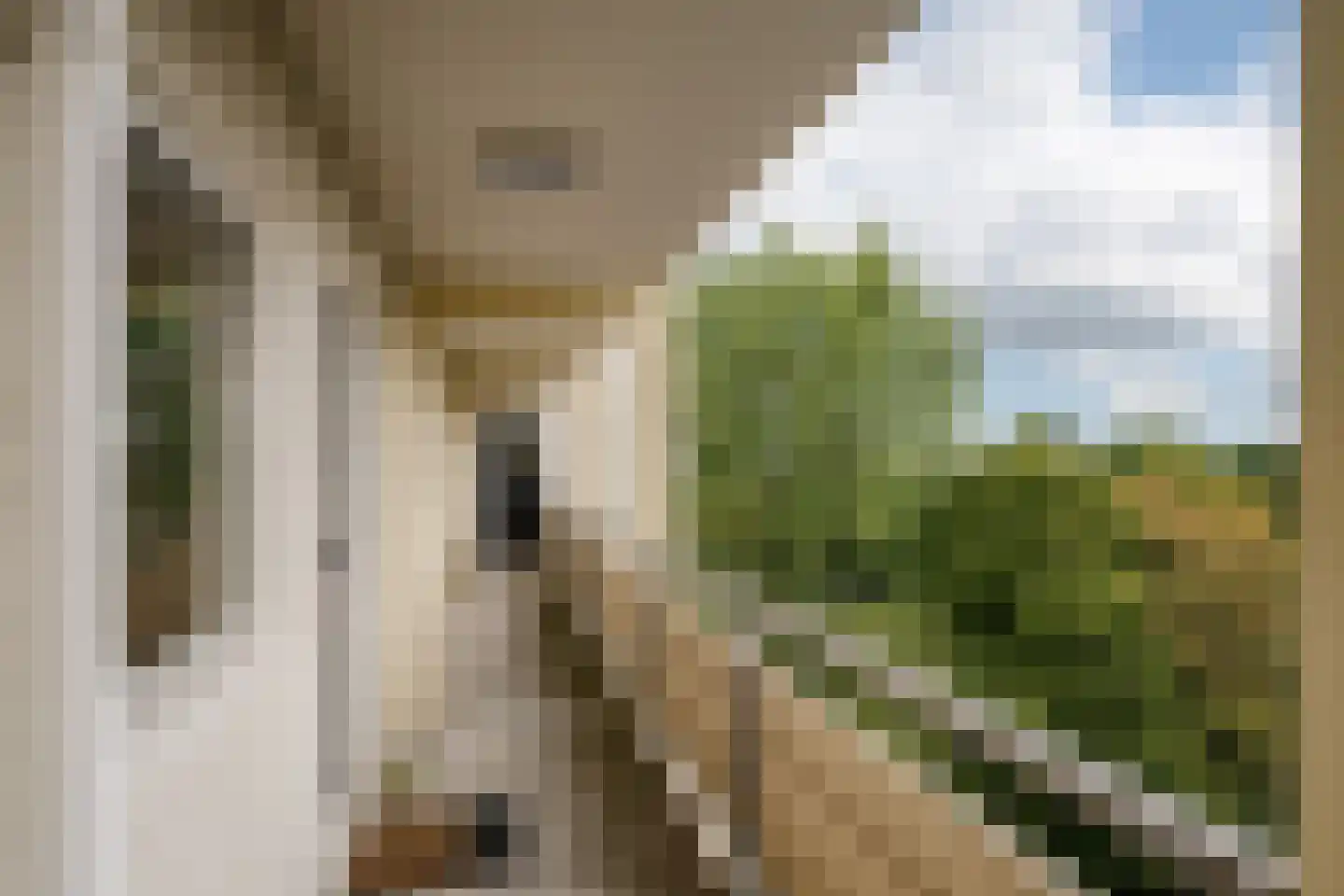 Jisperveldstraat 462 Amsterdam thumbnail 41
