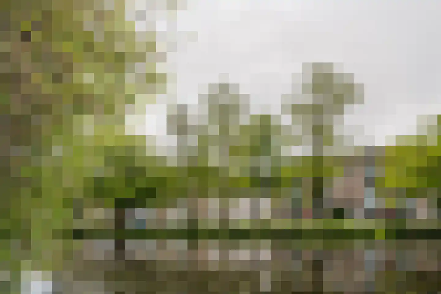 Jisperveldstraat 464 Amsterdam thumbnail 49