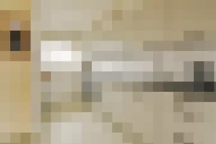 Jisperveldstraat 493 Amsterdam thumbnail 6