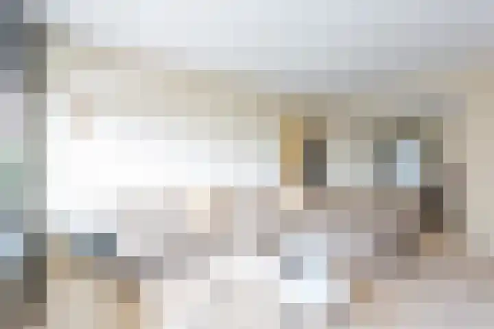 Jisperveldstraat 544 Amsterdam thumbnail 4