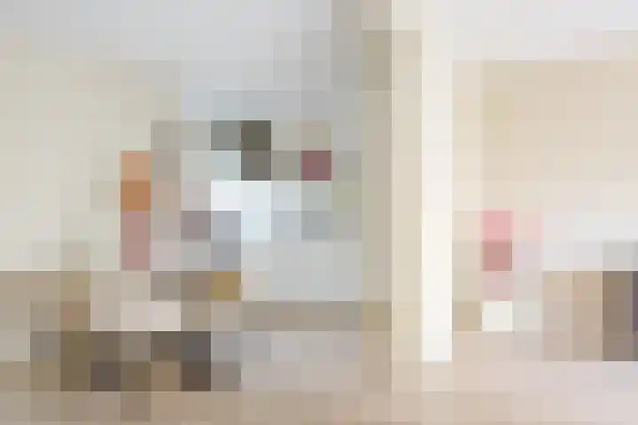 Jisperveldstraat 544 Amsterdam thumbnail 8