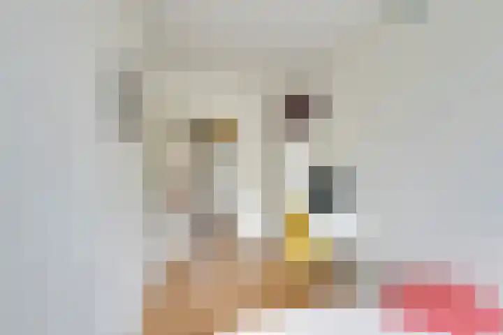 Jisperveldstraat 568 Amsterdam thumbnail 33