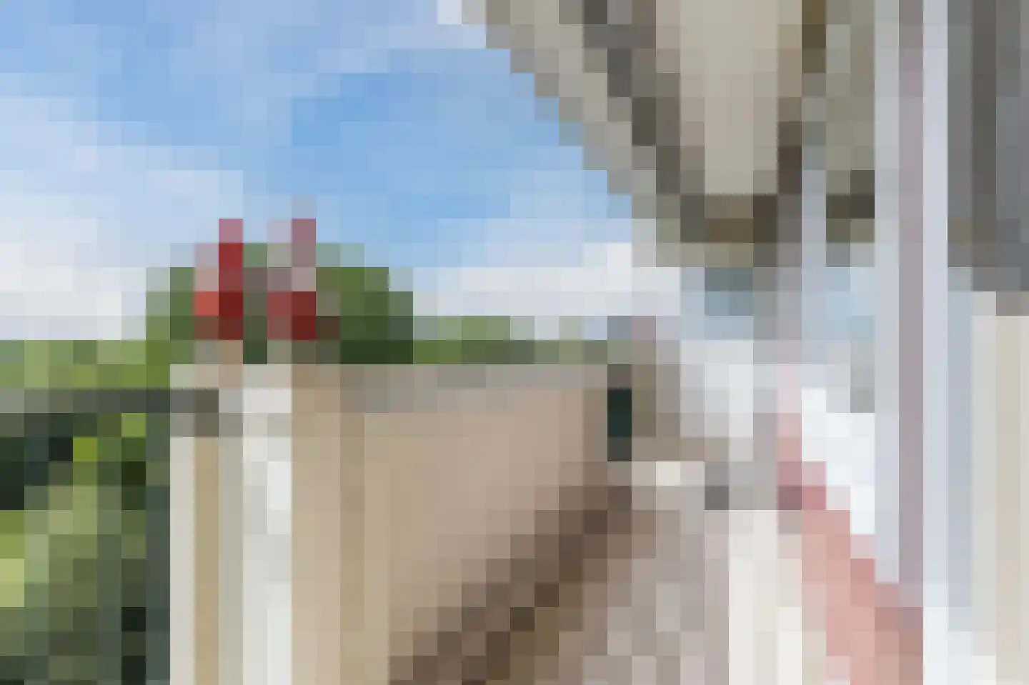 Jisperveldstraat 86 Amsterdam thumbnail 10