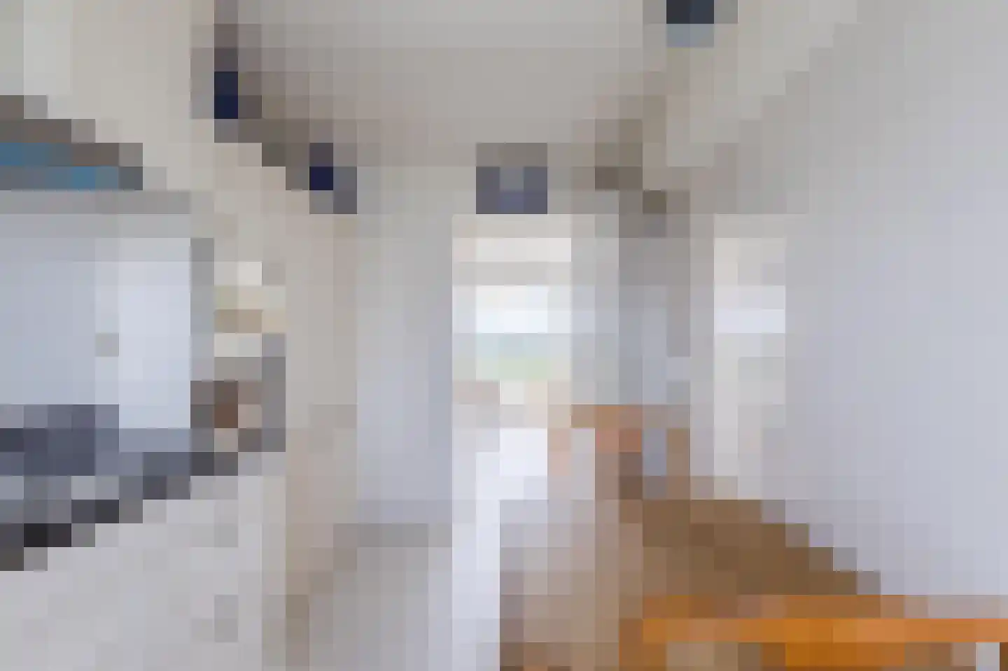 Jisperveldstraat 86 Amsterdam thumbnail 5
