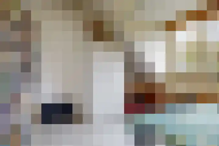 Jisperveste 17 Nieuwegein thumbnail 24