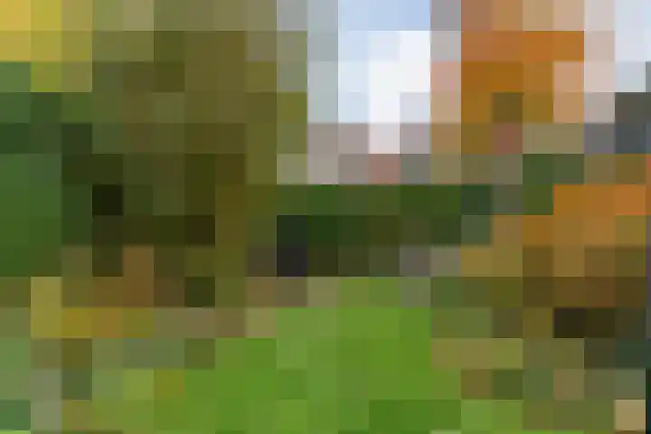 Jisperveste 17 Nieuwegein thumbnail 26