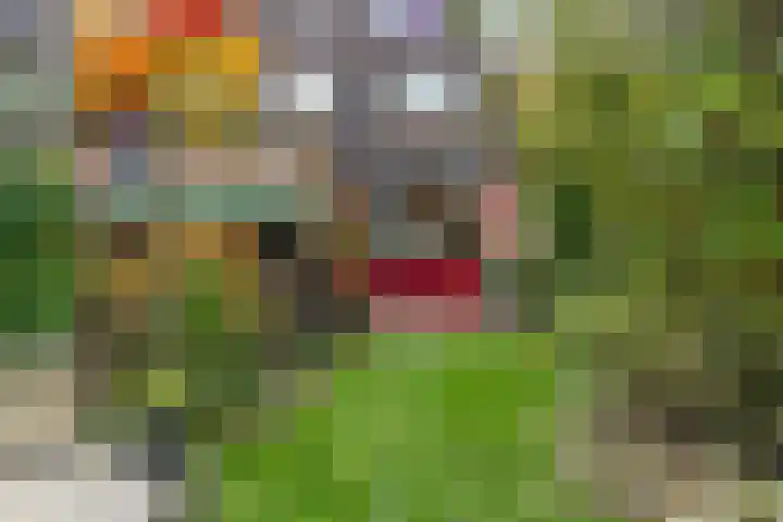 Jisperveste 17 Nieuwegein thumbnail 29