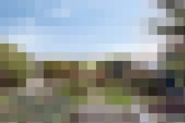 Jisperweg 112 b Westbeemster thumbnail 43