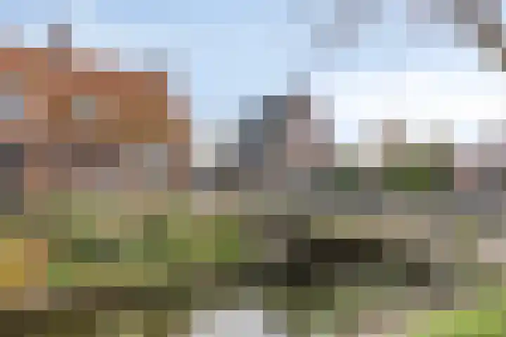 Jisperweg 112 b Westbeemster thumbnail 48