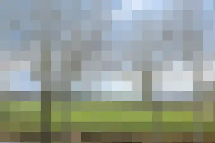 Jisperweg 112 b Westbeemster thumbnail 50