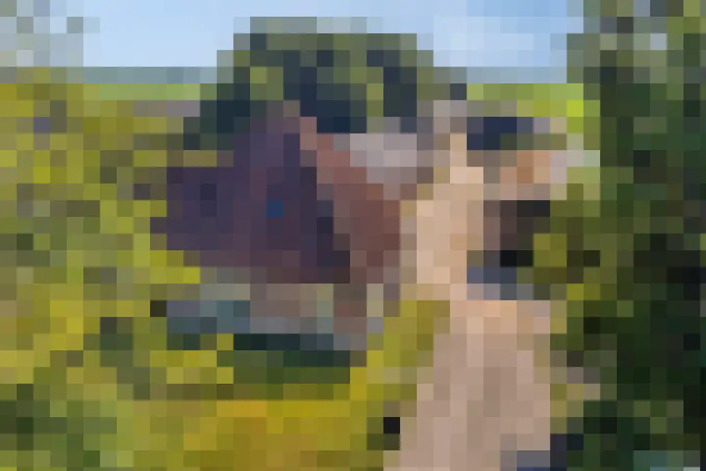 Jisperweg 36 Westbeemster thumbnail 13