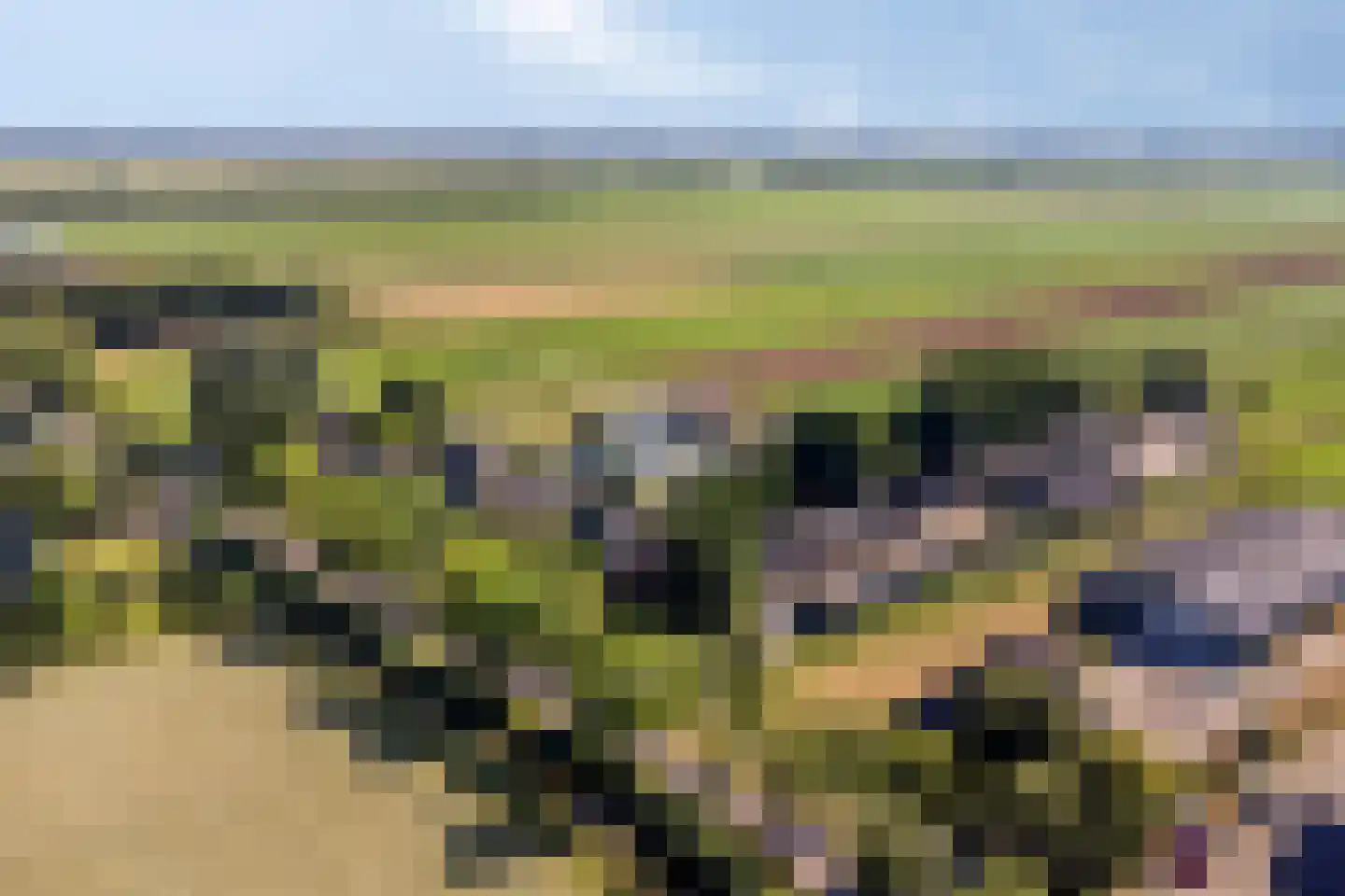 Jisperweg 36 Westbeemster thumbnail 14