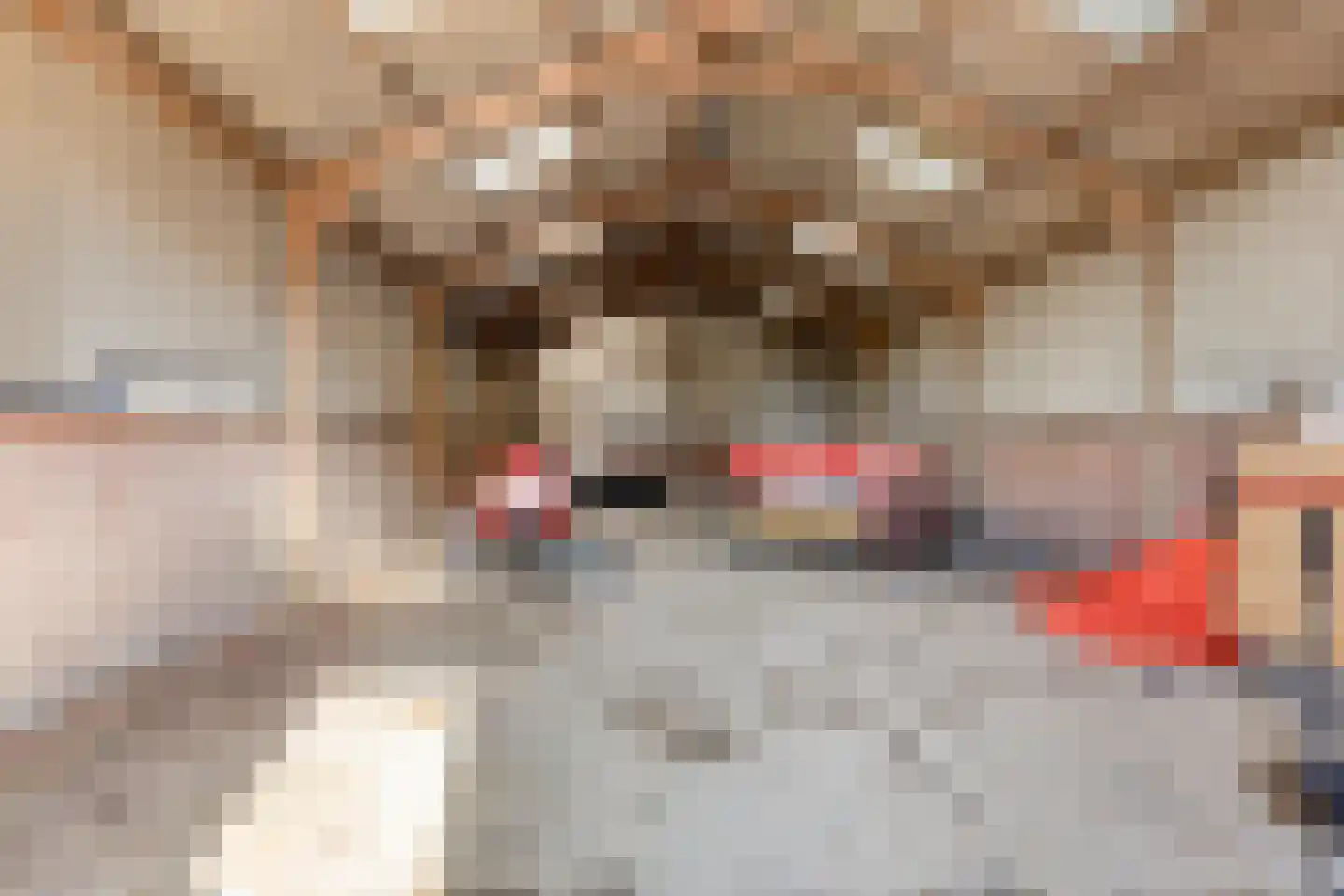 Jisperweg 36 Westbeemster thumbnail 35