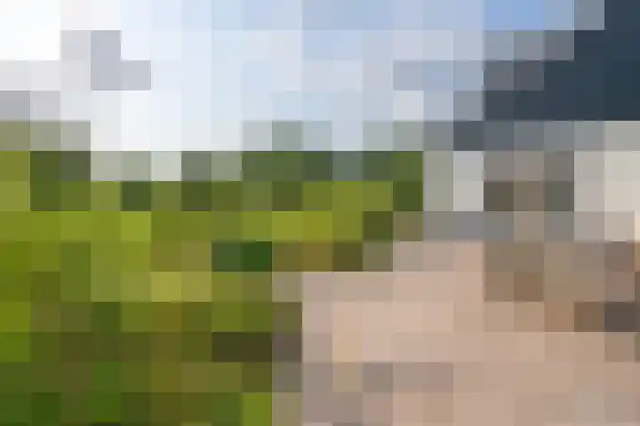 Jisperweg 86 Westbeemster thumbnail 35