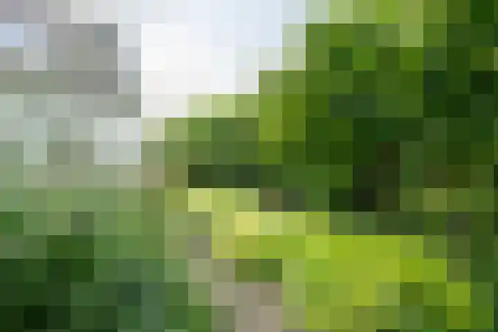 Jisperweg 86 Westbeemster thumbnail 39