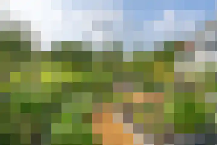 Jisperweg 86 Westbeemster thumbnail 4