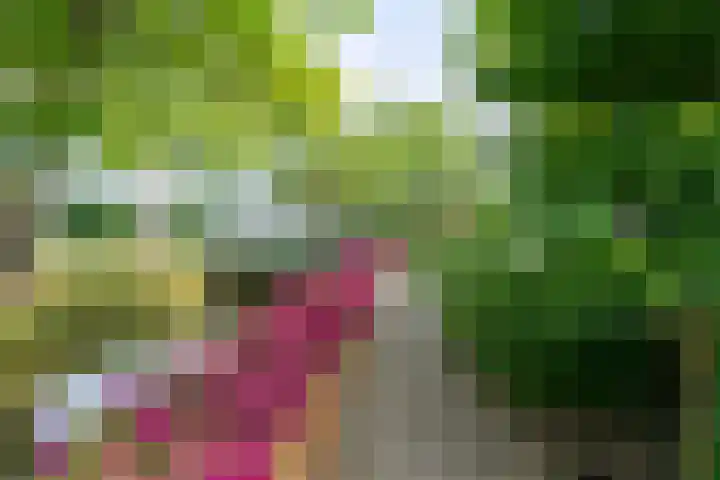 Jisperweg 86 Westbeemster thumbnail 40
