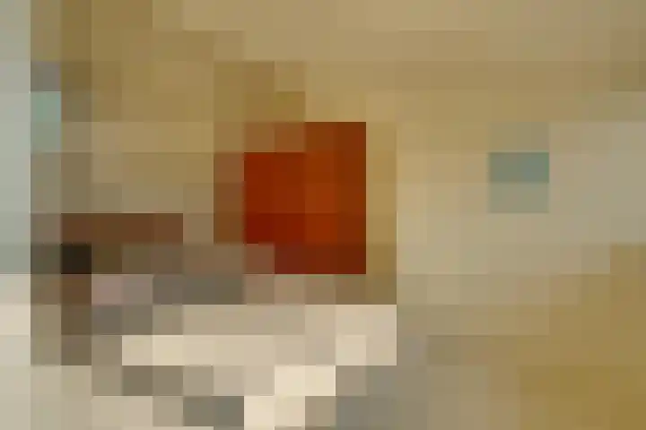 Jisperweg 86 Westbeemster thumbnail 47