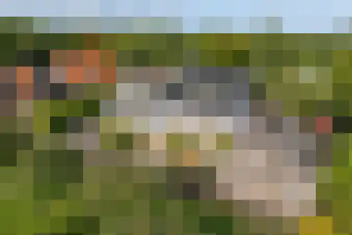 Jisperweg 86 Westbeemster thumbnail 5