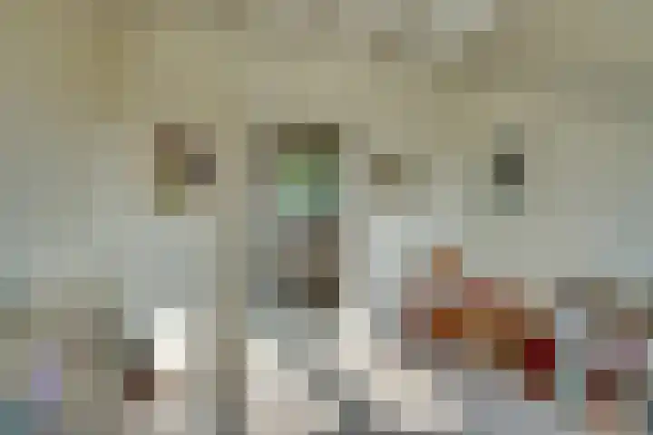 Jisperweg 86 Westbeemster thumbnail 68