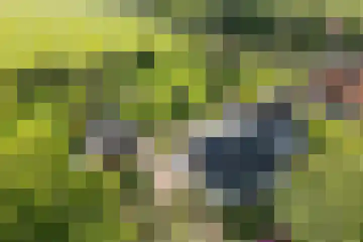 Jisperweg 86 Westbeemster thumbnail 7