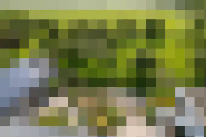 Jisperweg 86 Westbeemster thumbnail 75