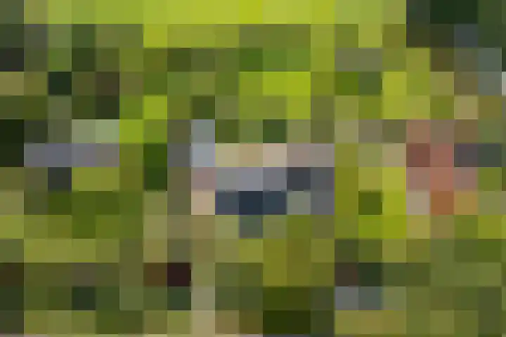 Jisperweg 86 Westbeemster thumbnail 85