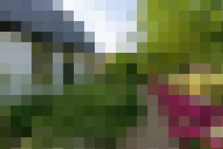 Jisperweg 86 Westbeemster thumbnail 9