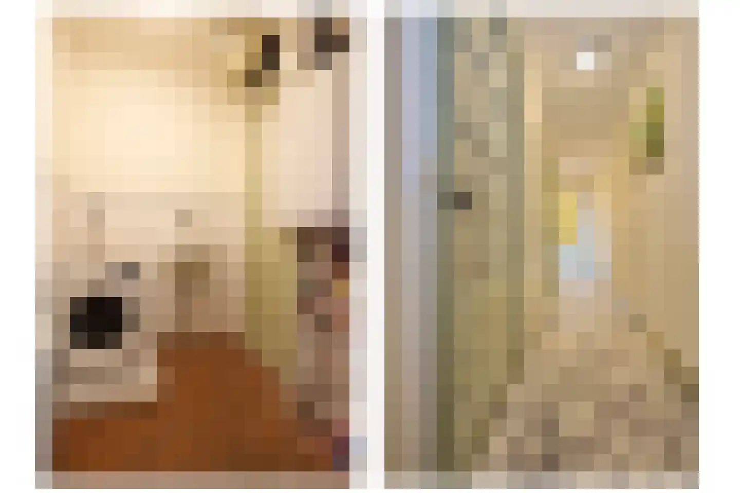 Jisperweg 88 f Westbeemster thumbnail 28