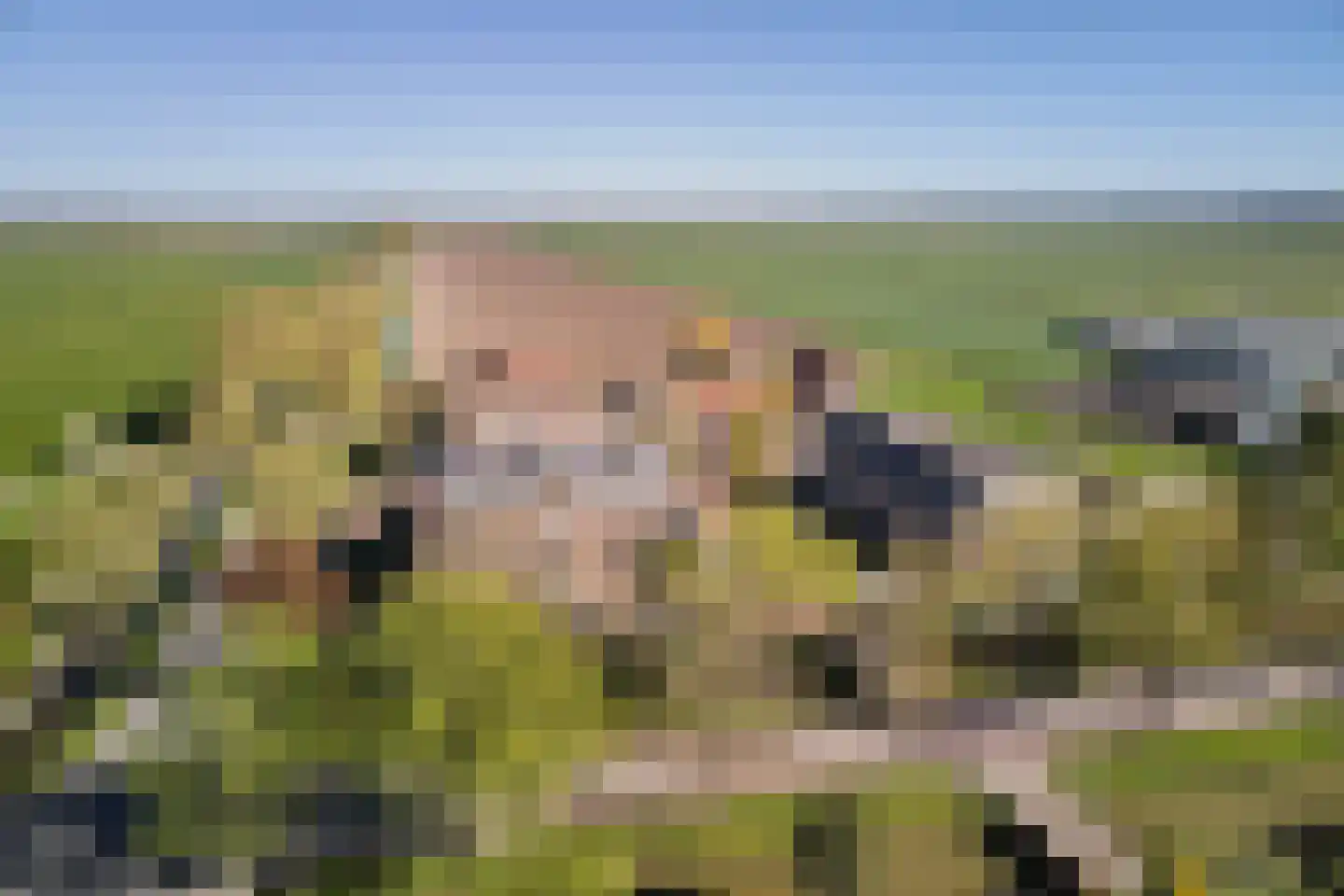 Jisperweg 88 f Westbeemster thumbnail 6