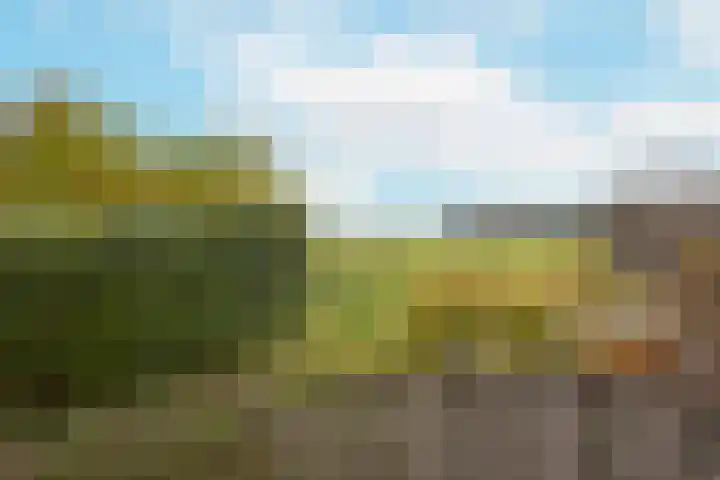 Jisperweg 89 f Westbeemster thumbnail 41