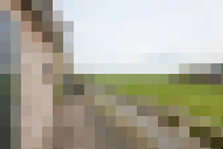 Jisperweg 89 f Westbeemster thumbnail 44