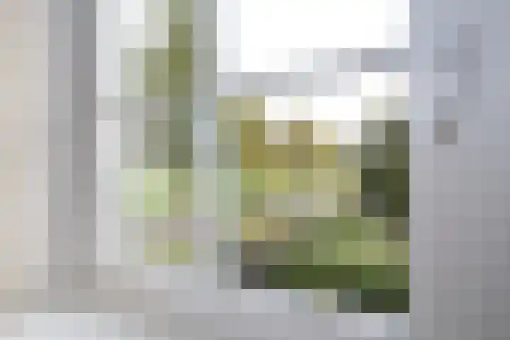 Jisperweg 89 Westbeemster thumbnail 28