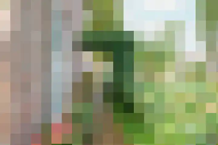 Jisperweg 89 Westbeemster thumbnail 52
