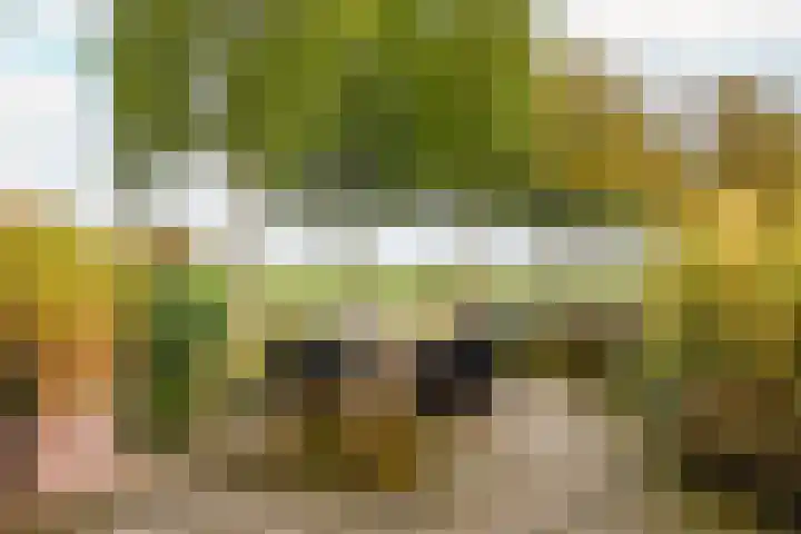 Jisperweg 89 Westbeemster thumbnail 53