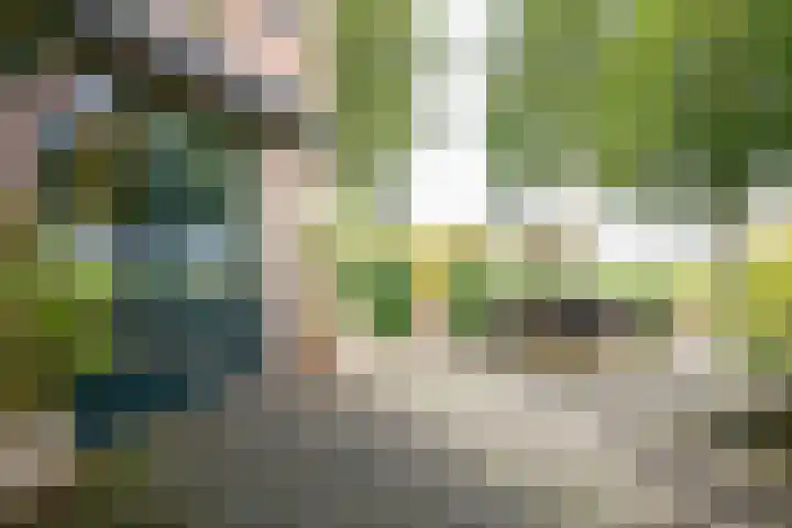 Jisperweg 89 Westbeemster thumbnail 54