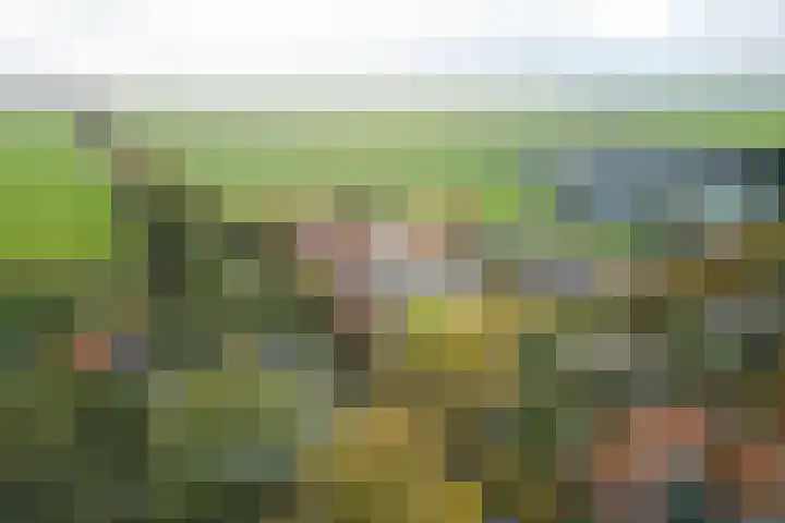 Jisperweg 89 Westbeemster thumbnail 59
