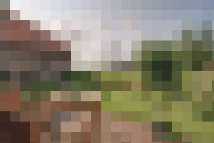 Jisperweg 92 c Westbeemster thumbnail 31