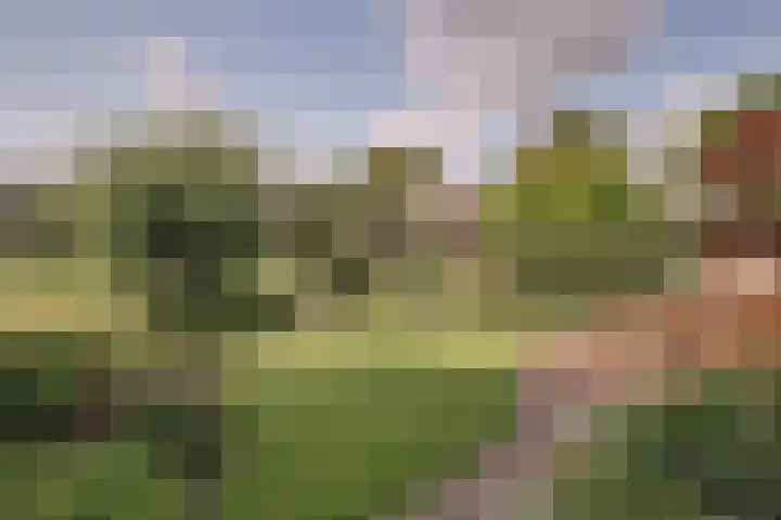 Jisperweg 92 c Westbeemster thumbnail 32