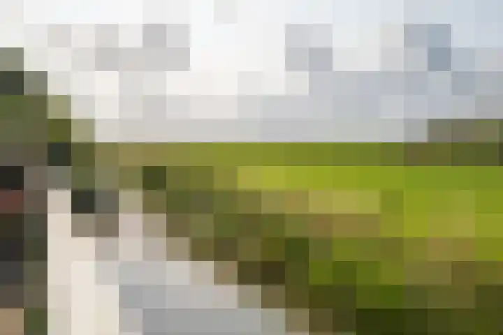 Jisperweg 92 c Westbeemster thumbnail 35