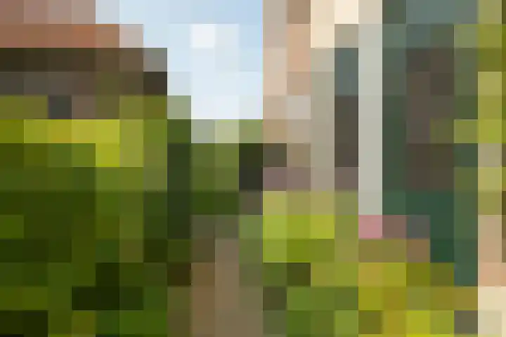 Jisperweg 92 c Westbeemster thumbnail 6
