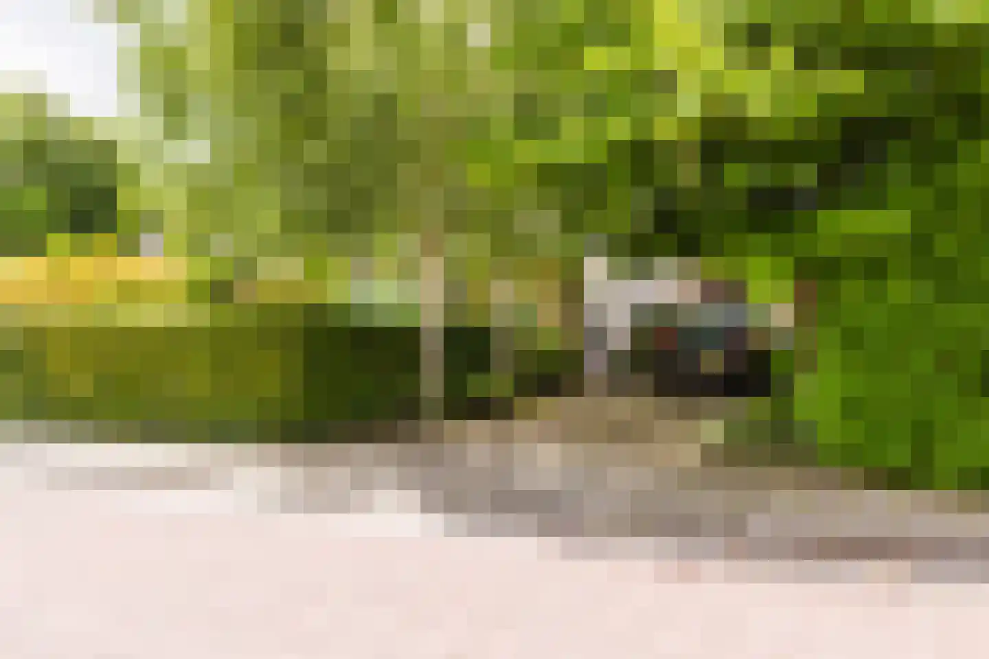 Jister 13 Langezwaag thumbnail 10