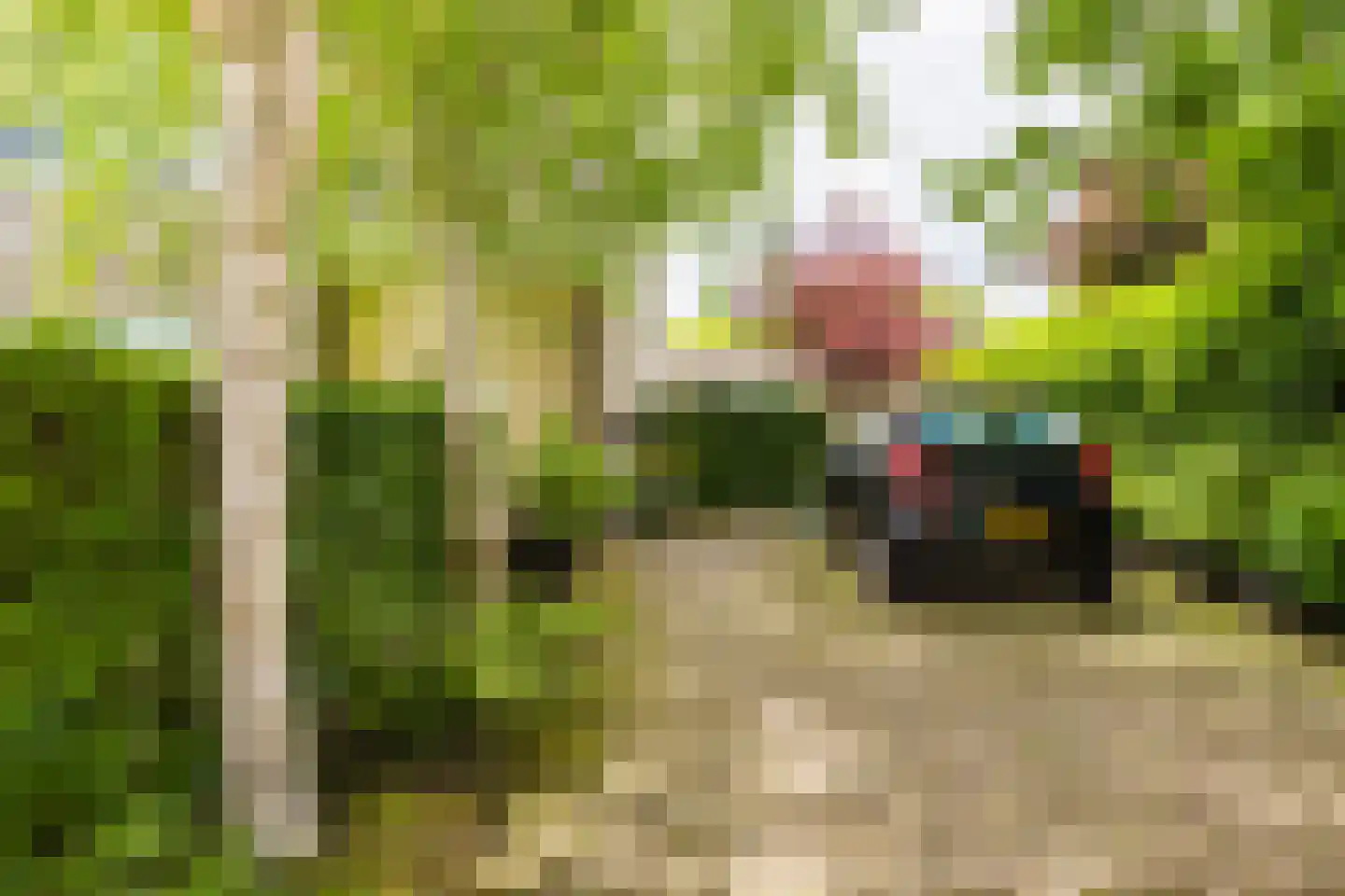 Jister 13 Langezwaag thumbnail 11