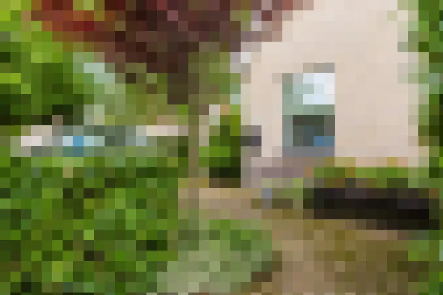 Jister 13 Langezwaag thumbnail 13