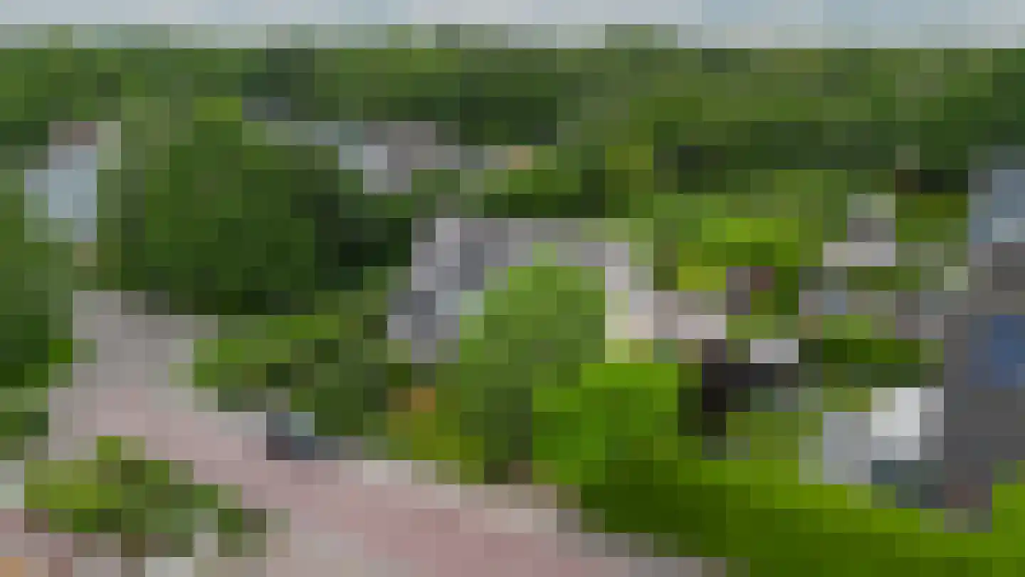 Jister 13 Langezwaag thumbnail 14