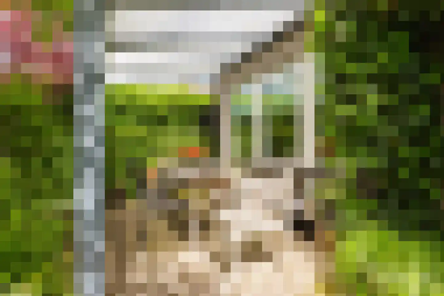 Jister 13 Langezwaag thumbnail 17