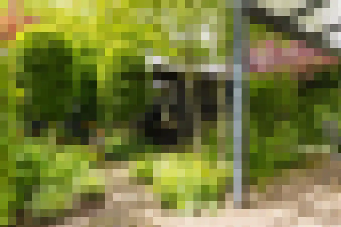 Jister 13 Langezwaag thumbnail 18
