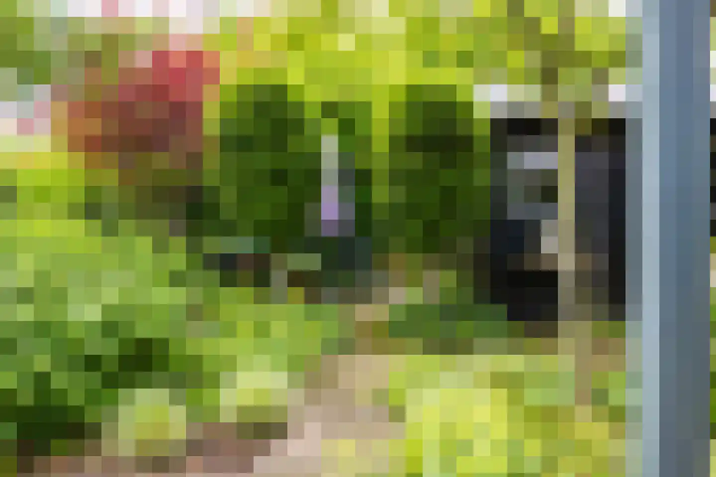 Jister 13 Langezwaag thumbnail 19