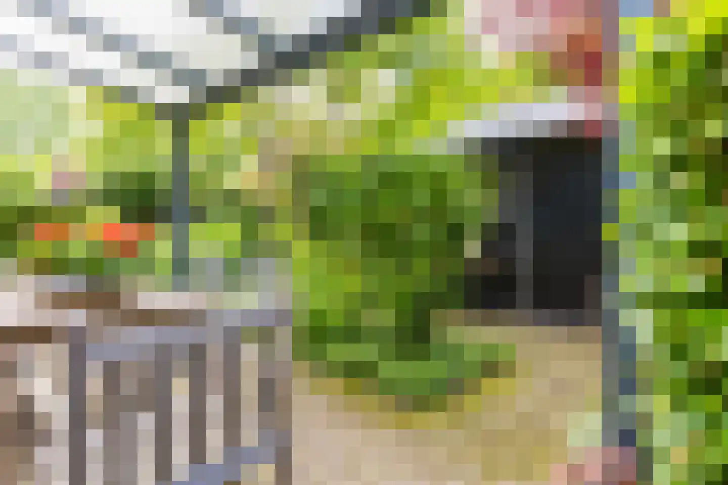Jister 13 Langezwaag thumbnail 20